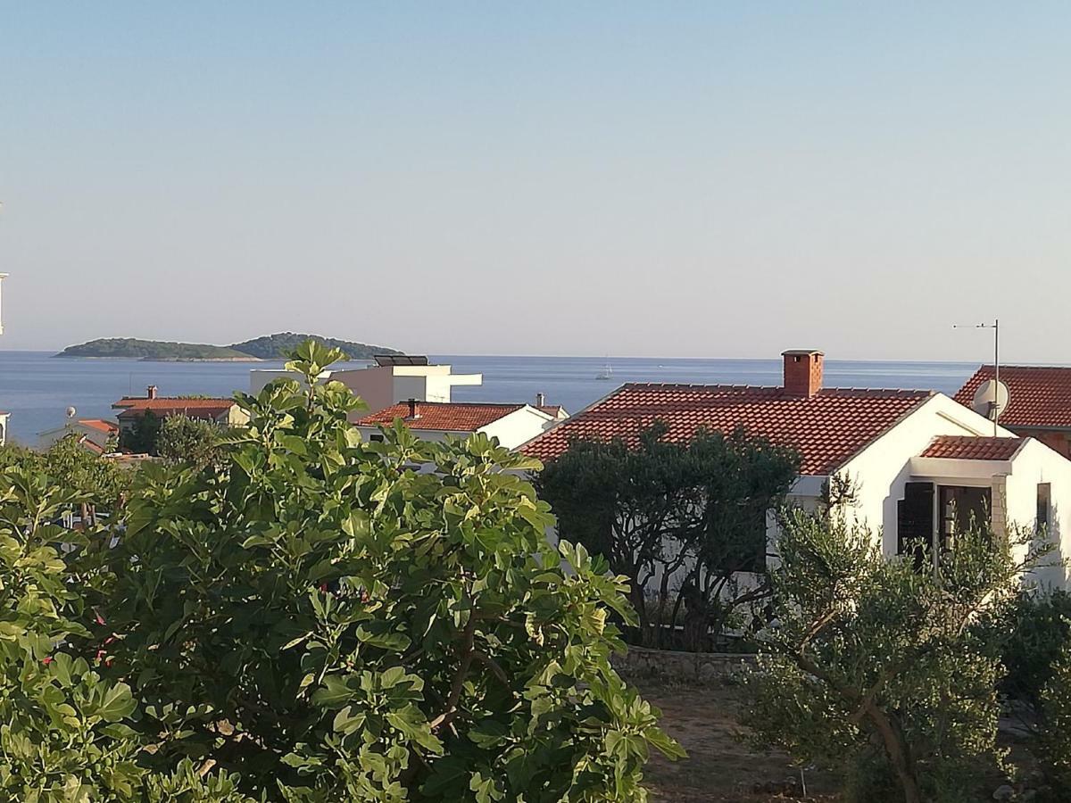 רוגוזניצה Villa Perla Dalmatica מראה חיצוני תמונה